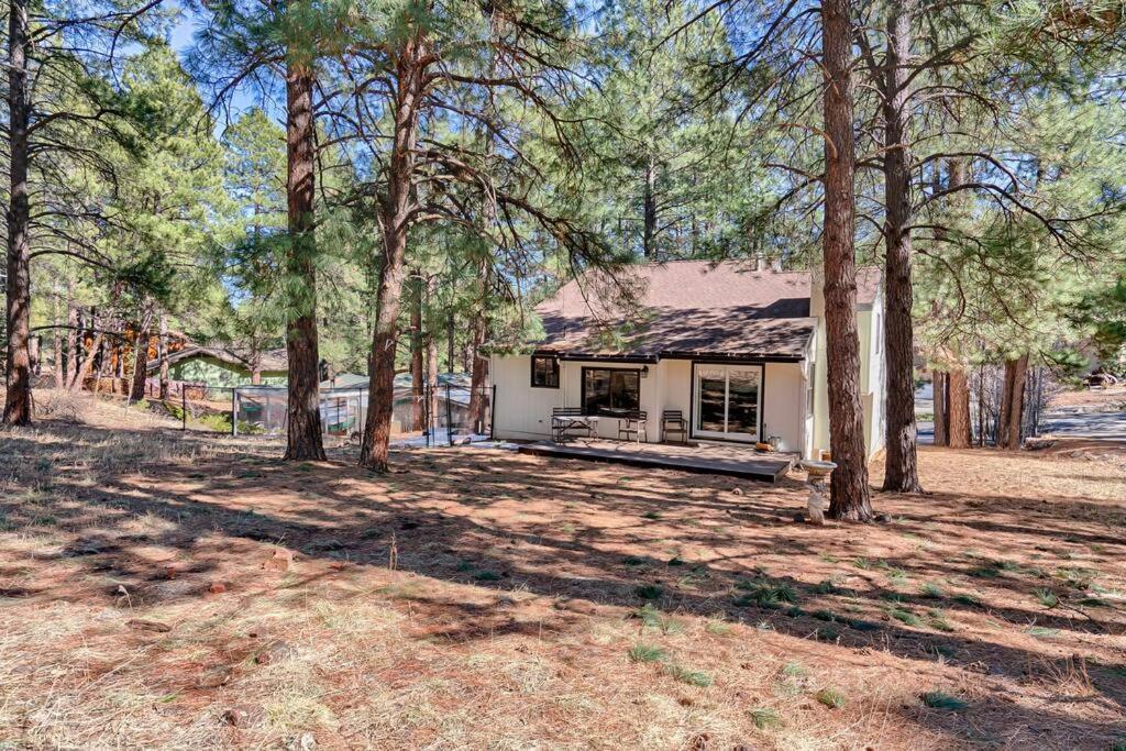 Quaint Home In The Pines Флагстафф Экстерьер фото